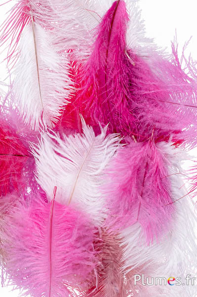 Struisvogel Bellies - 5-10 cm - gemengde roze